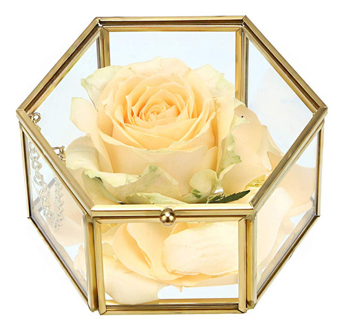 Hipiwe Caja De Cristal De Flores Preservadas, Caja Decorativ