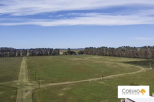 Imagen 13 de 30 de Terreno - Carmen De Areco