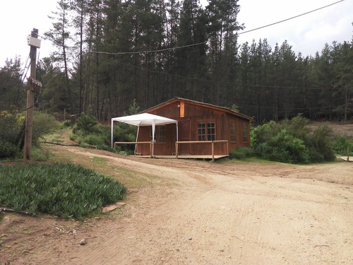 Acogedor Refugio En Medio De El Bosque, Reñaca. Tranquilo.