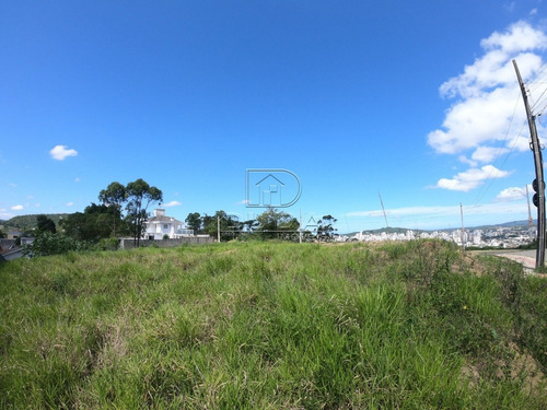 Imagem 7 de 9 de Terreno - Mina Do Mato - Ref: 32415 - V-32412