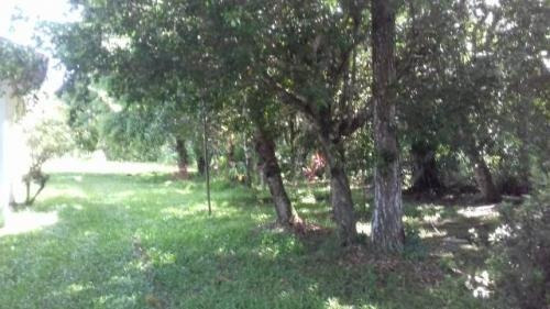 Imagem 3 de 9 de Chácara Litoral Sul Lado Serra 2000 M² Ref.5214/dz