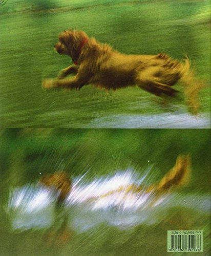 Beautiful Evidence, De Edward R. Tufte., Vol. 1. Editorial Graphics Press, Tapa Blanda En Inglés, 2006