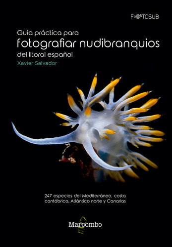 Guía Práctica Para Fotografiar Nudibra... (libro Original)