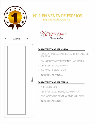 Espejo Espejos Cuerpo Entero Tipo Demolición 163x53cm.