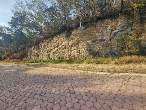 Venta Lote Gladiola 26 En Calle Privada Con Bonitas Vistas, Proyecto Incluído Y Con Todos Los Servicios En Fraccionamiento Rancho San Diego Ixtapan De La Sal Edomex