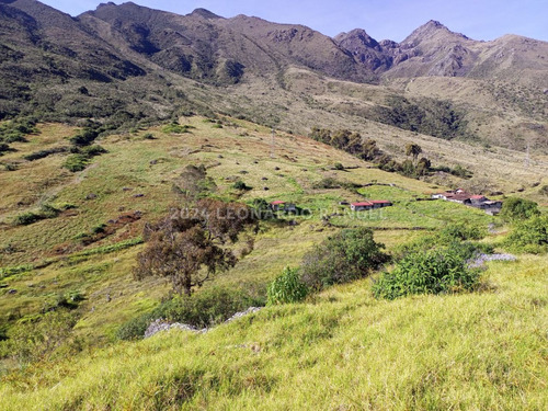 Se Vende Impresionante Finca De 2.836 Hectáreas En Santo Domingo Estado Mérida.