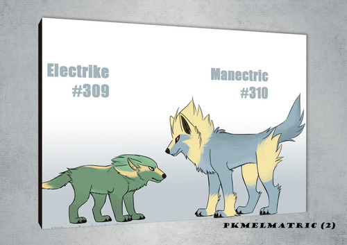 Cuadros Poster Pokemon Electrike Evolucion 50x70 (ric 2)