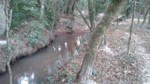 Imagem 17 de 17 de Chácara Com 3 Dormitórios À Venda, Jardim Majestic, Sao Jose Dos Campos - Sp - 3445