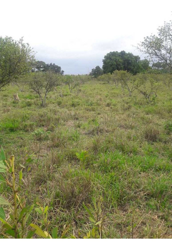 Vendi Vario Terreno En Casi Todo El Pais Y Distrito. Higuey 