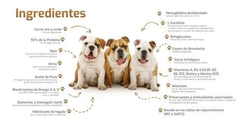 Imagen 2 de 2 de Alimento Perro Bokato Cachorro 10k