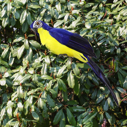 Falso Guacamayo Pájaros Artificiales Pájaro Loro Modelo