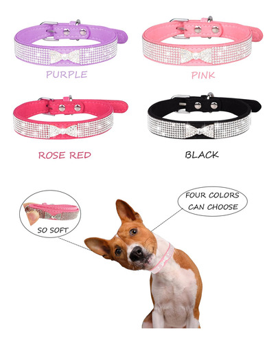 Collar Seguro Y Ajustable Para Perros Pequeños