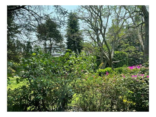 Imagen 2 de 3 de Terreno En Venta En Lomas De Chapultepec