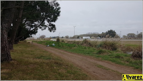 Imagen 11 de 14 de Lote De 5500 M2 A Metros De La Ruta Interbalnearia