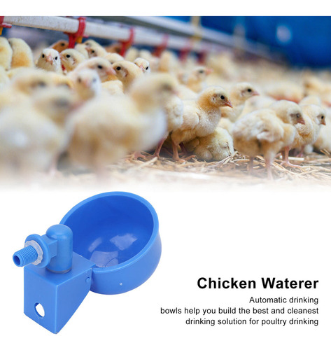 . 5 Vasos De Agua Automáticos Para Pollo, Plástico Pp, Para
