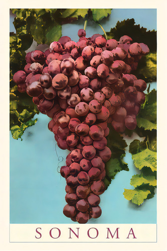 Vintage Journal Sonoma Grapes, De Found Image Press. Editorial Found Image Pr, Tapa Blanda En Inglés