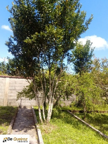 Imagem 20 de 30 de Chácara Em Itanhaém, Bairro Aguapeu, Isolada, Lado Morro, Usada, 2 Dormitórios , Sala, Varanda, Área De Serviço Coberta, Arvores Frutíferas. - 4040 - 67615658