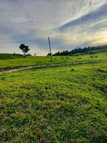 Imagem 14 de 14 de J.r Vende Se Lotes De Área Rural No Interior De Sp