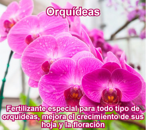 Fertilizante Especial Para Orquideas Por 50 Gr (rinde 12,5l)