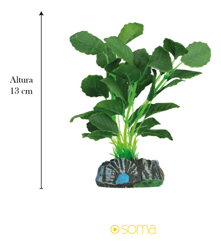 Planta Silk Soma Echinodorus Cordifolius 13cm