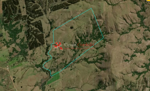Venta - Campo De 112 Hectareas Rocha