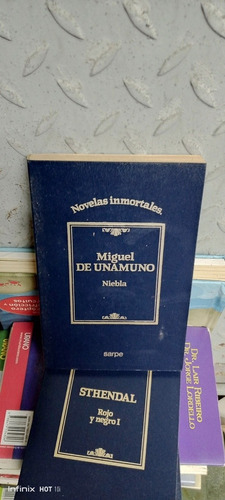 Libro Niebla. Miguel De Unamuno