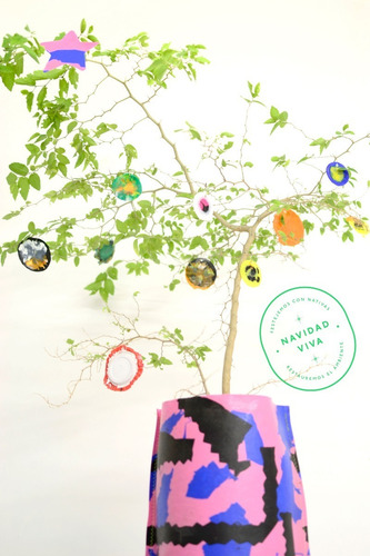 Árbol De Navidad Vivo Y Nativo + Kit De Adornos Reciclados