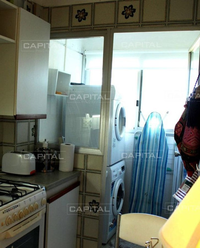 Imagen 5 de 16 de Apartamento 2 Dormitorios En Alquiler Temporada - Punta Del Este Roosevelt
