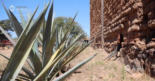 Ex Hacienda La Parreña Del Siglo Xix El Arenal , Jalisco . A 30 Min De Gdl.