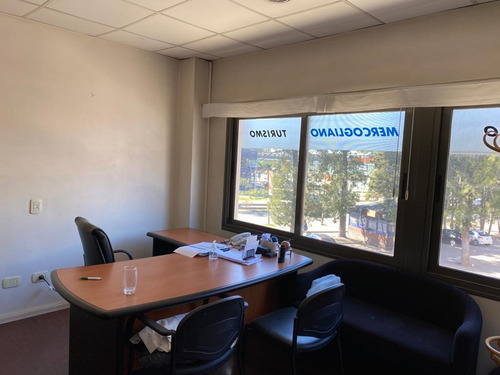 Imagen 7 de 13 de Local En Venta Plaza Canning