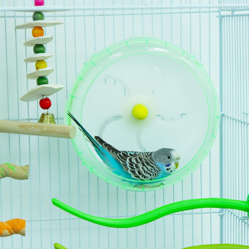 Rueda De Ejercicio Para Pájaros Zomiboo Modelo Verde Verde