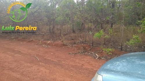 Imagem 6 de 15 de Fazenda À Venda Em São Valério -to - 1.026 Hec (excelente Para Agricultura) - 1520