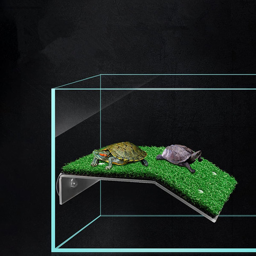 Plataforma Para Tomar Tortugas W6lawn Plataforma Para Tomar