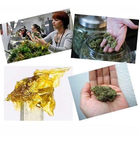 Prensa De Calentamiento Para Cannabis - Colofonia Rosin