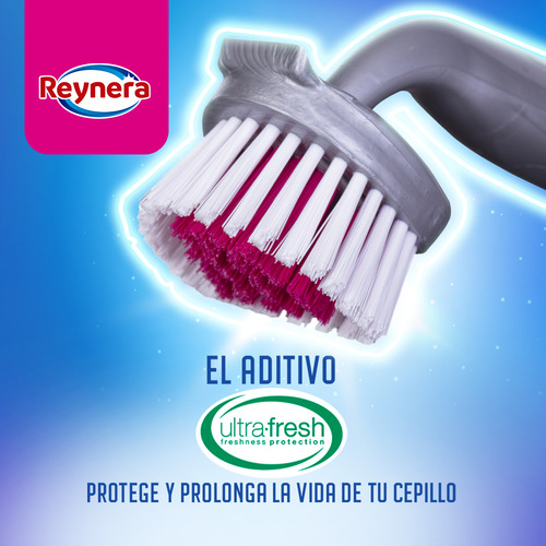 Kit De Cepillos Multiusos Para El Hogar Reynera 12 Pzas Color Gris