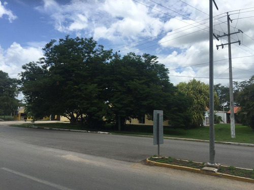 Imagen 24 de 25 de Terreno Sobre Avenida De Cuatro Carriles En Yucatán $320m2 -142m De Frente -71298m2- Tizimín