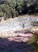 Imagem 9 de 13 de Chácara Para Venda - 35510