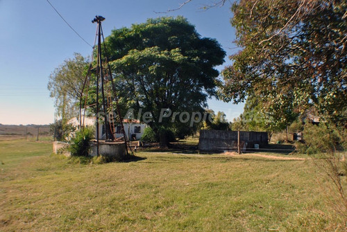 Imagen 9 de 11 de En Venta 5 Ha Con Dos Casas Colonia Del Sacramento