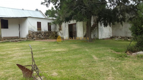 Campo En Abra De Perdomo A Pocos Km De Punta Ballena - Consulte!!!!!-ref:3176