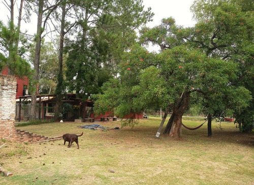 Imagen 14 de 17 de Hermosa Quinta Antigua En Amplio Terreno Arbolado - Arroyo Leyes, Santa Fe