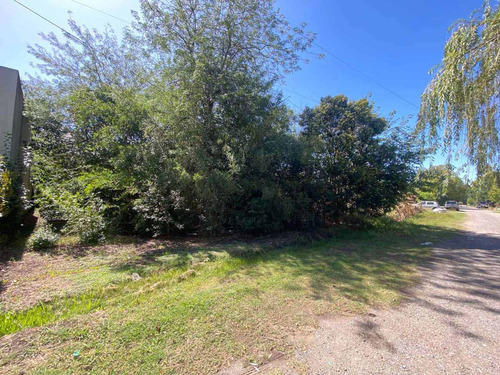 Imagen 2 de 5 de Lotes Terrenos En Venta En City Bell