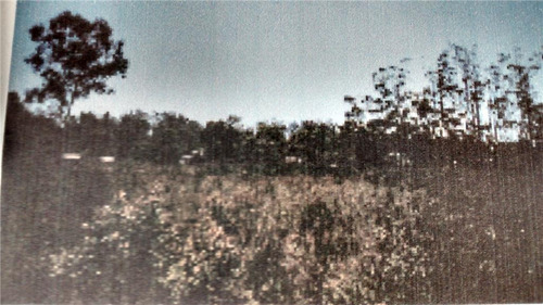 Imagem 4 de 4 de Terreno À Venda, 798 M² Por R$ 25.000,00 - Zona Rural - Eldorado Do Sul/rs - Te0404