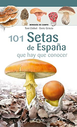 Libro 101 Setas De España De Llobet François Toni Lectio