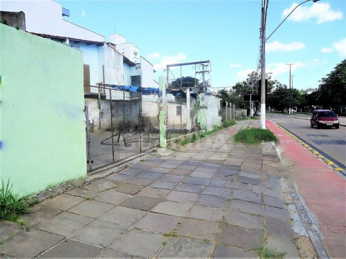 Imagem 4 de 8 de Terreno - Azenha - Ref: 64040 - V-64040