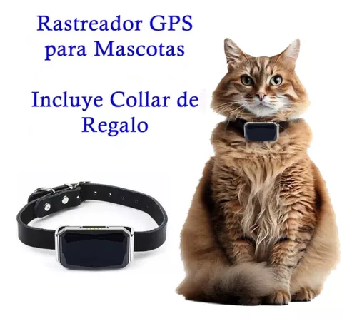 Rastreador GPS para perros y gatos, Collar localizador inteligente