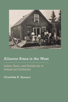 Libro Alliance Rises In The West : Labor, Race, And Solid...