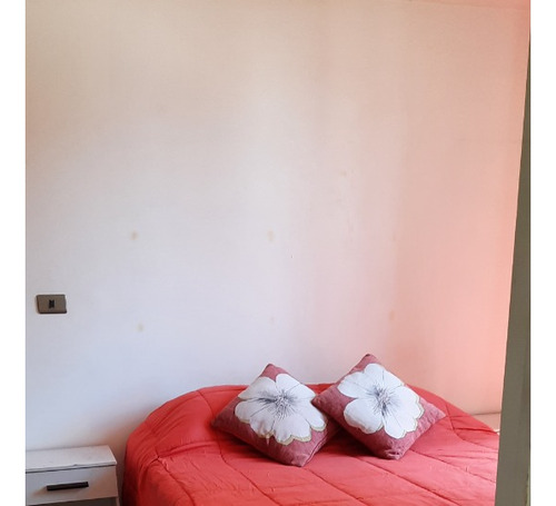 Arriendo Departamento Santiago Amoblado O Sin Amoblar