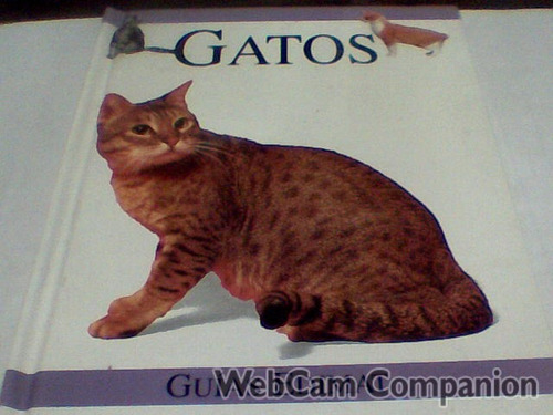 Gatos - Guias Edimat (c121)