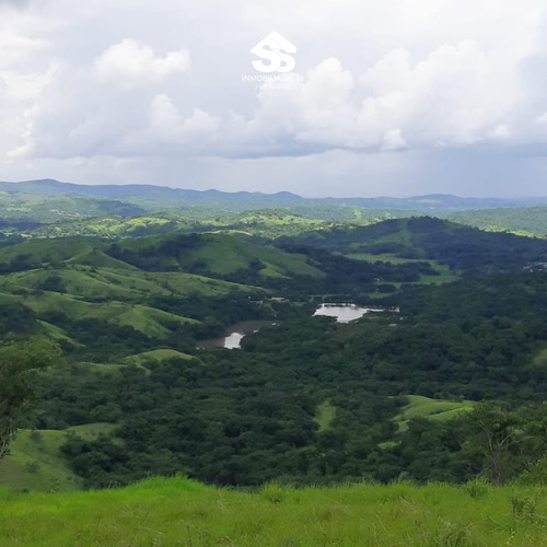 Finca En Venta - Guárico - Granja De Porcina