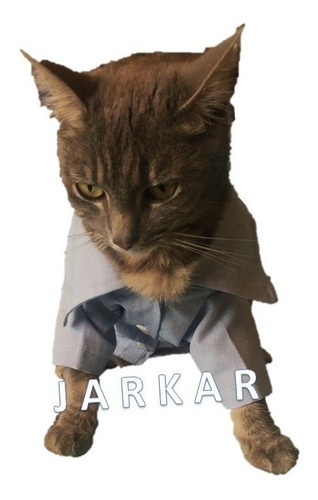 Camisa Formal Para Gato